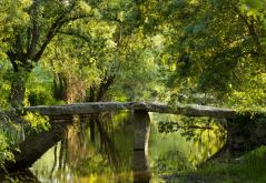 pont mégalithique au dessus du Thouet dans un environnement végétal à Artannes sur thouet©N. Van Ingen_propriété du Parc naturel régional utilisation interdite