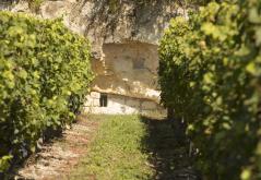 Troglo et vignes à Benais©N. Van Ingen_propriété du Parc naturel régional utilisation interdite