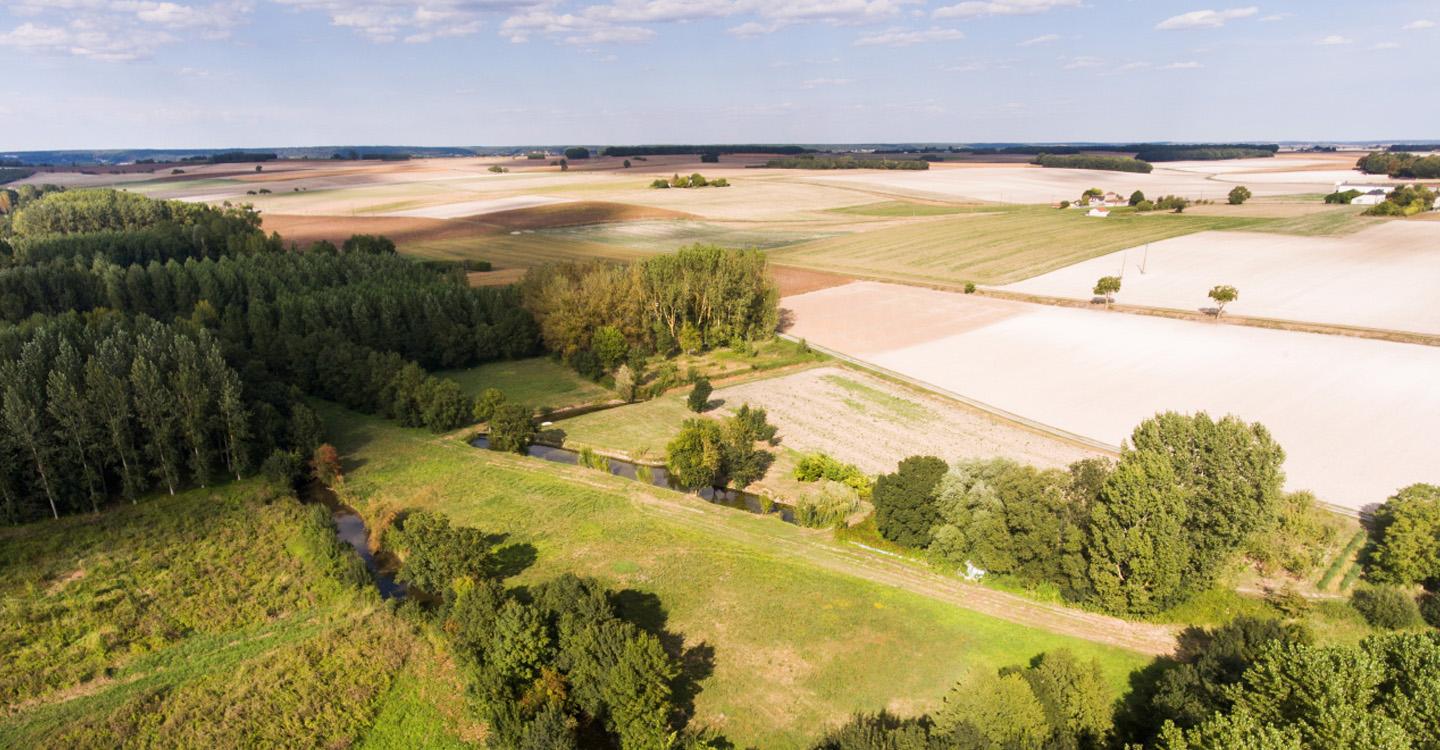 paysage agricole composé de petits boisements au bord d'un cours d'eau et de champs cultivés en céréales