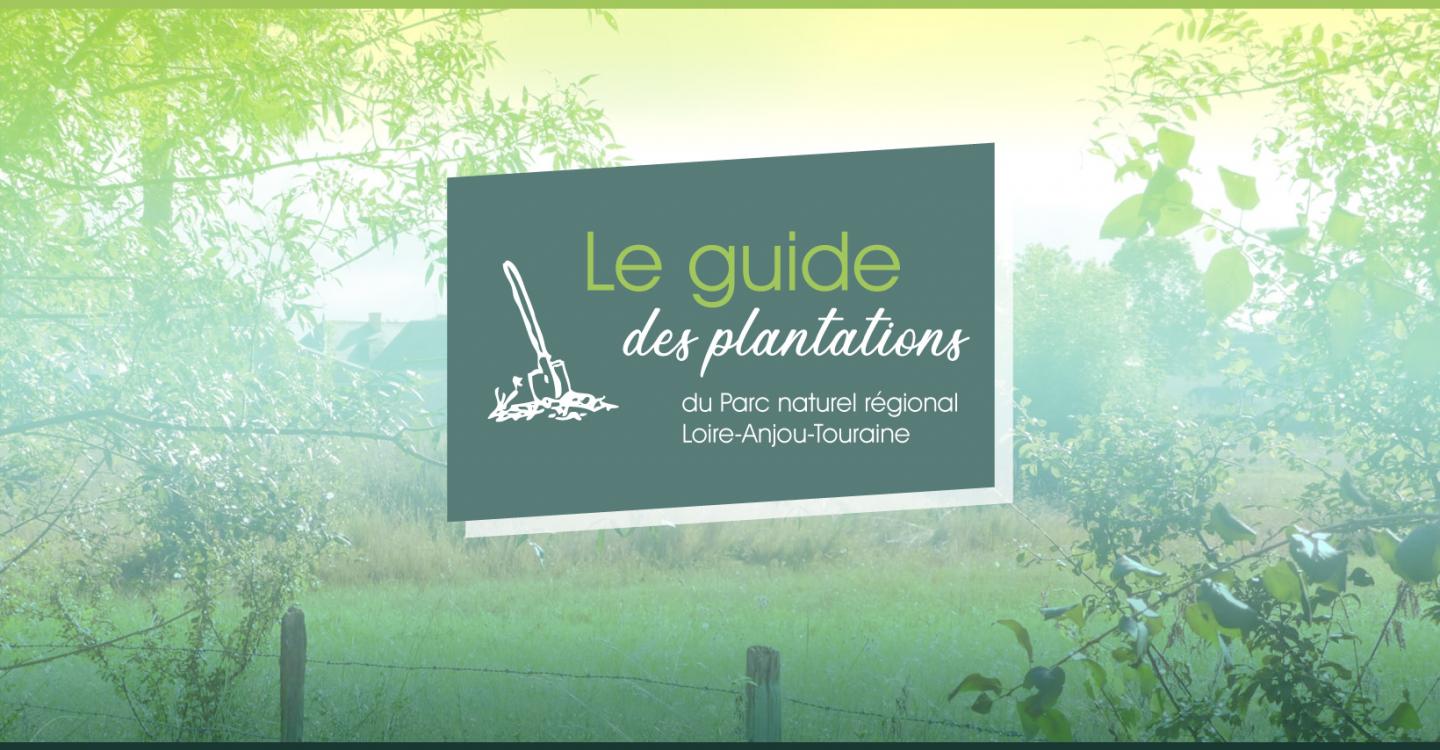 Guide des plantations