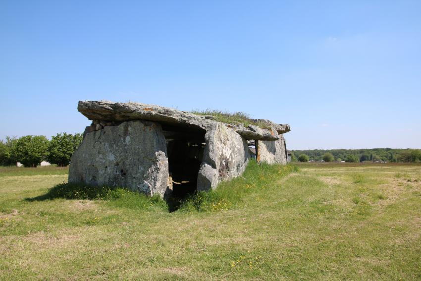 dolmen de la Madeleine situé à Gennes dans une prairie