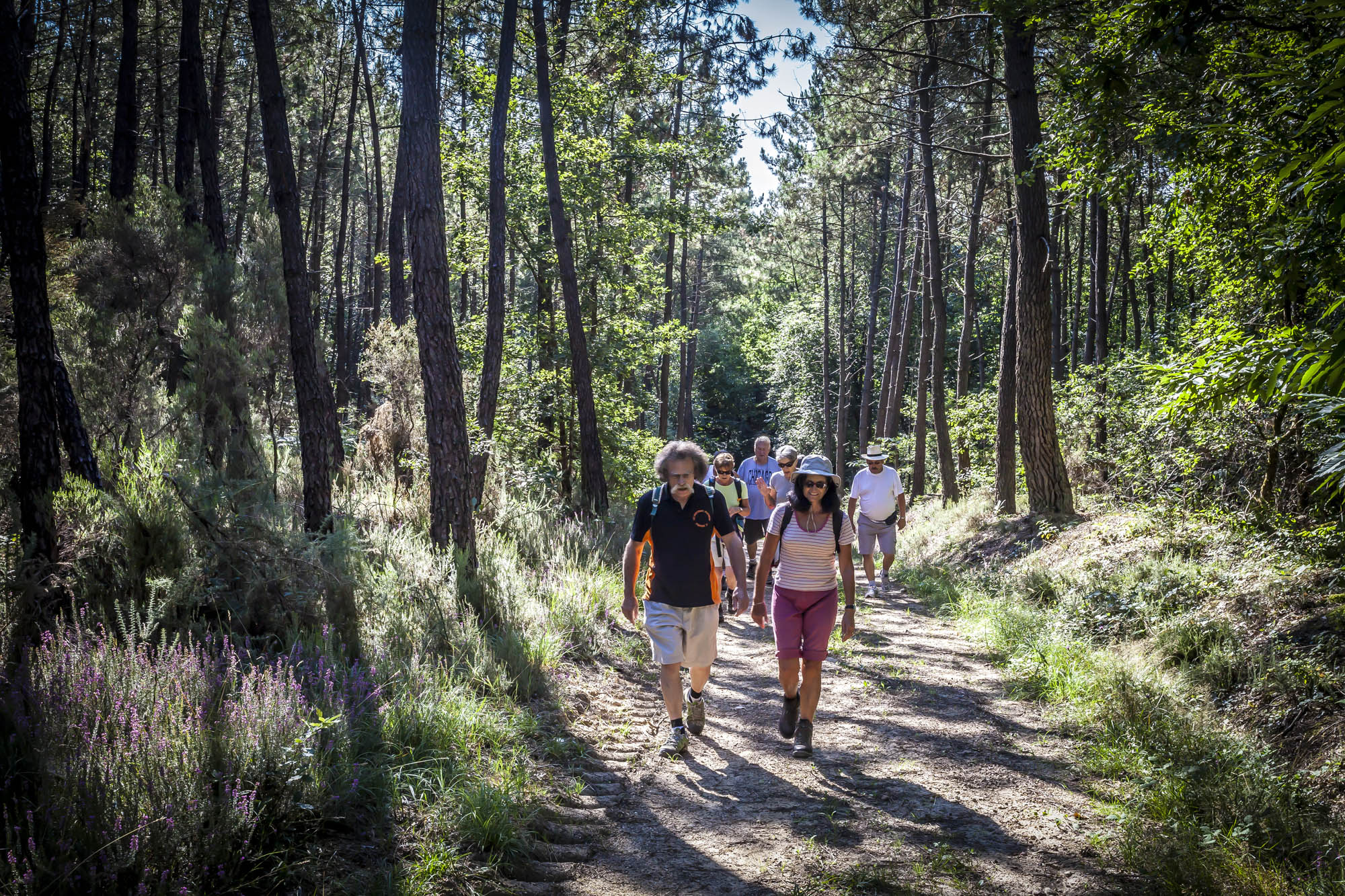 En forêt ©Jérôme Paressant