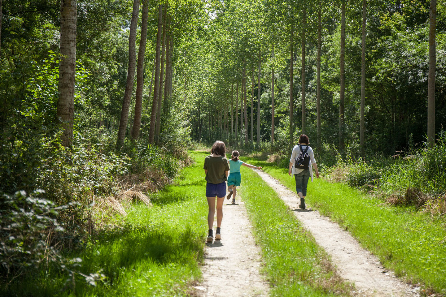 Bocage du Véron©Jérôme Paressant