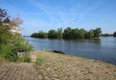 Bords de Loire à Chênehutte Trèves Cunault