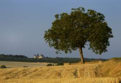 Coudray-Montpensier