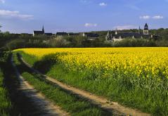 Fontevraud©P. Body.jpg