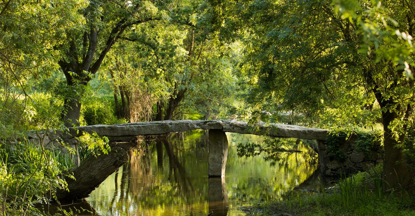 pont mégalithique au dessus du Thouet dans un environnement végétal à Artannes sur thouet©N. Van Ingen_propriété du Parc naturel régional utilisation interdite