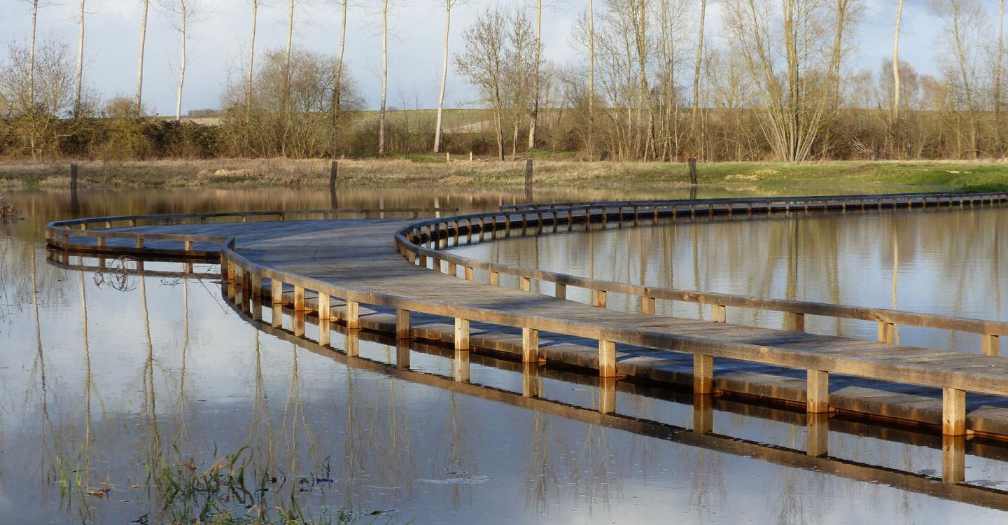 Marais de Baffou