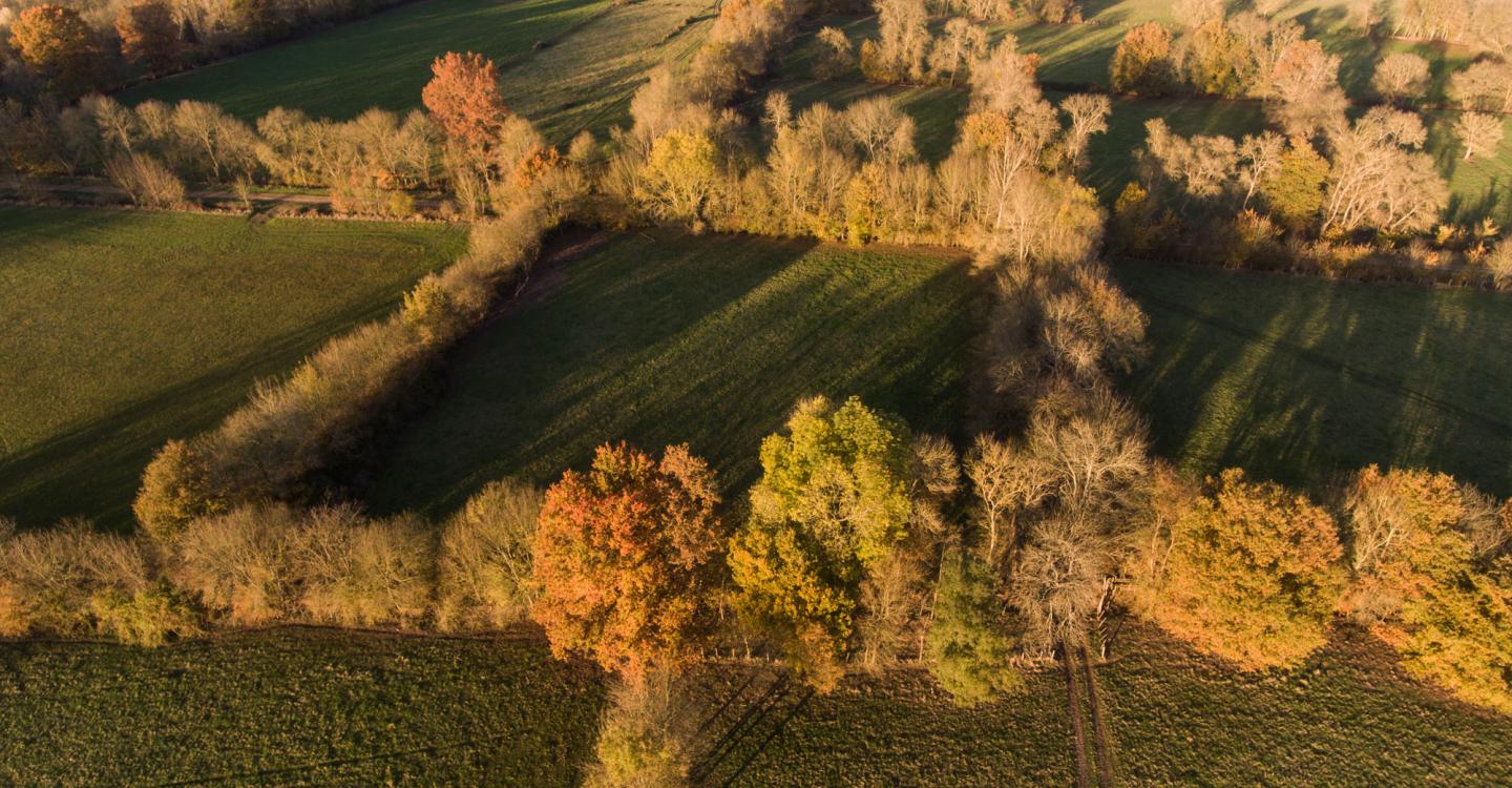 ©N. Van Ingen_propriété du Parc naturel régional utilisation interdite