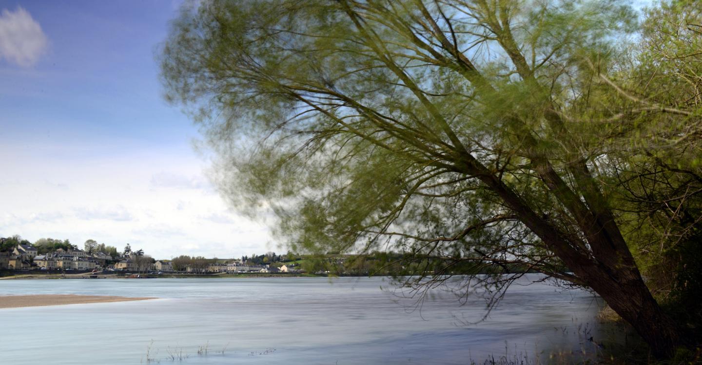 Loire à Montsoreau©PNR Loire-Anjou-Touraine