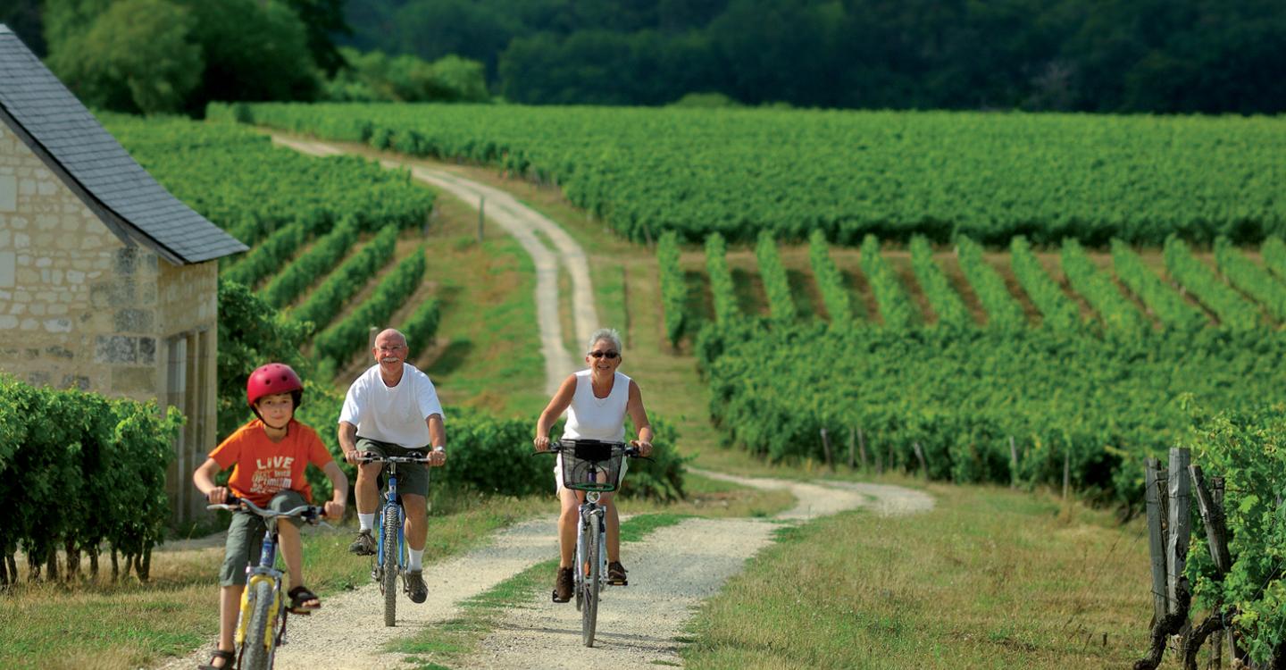 Vélo dans les vignes©C. Petiteau