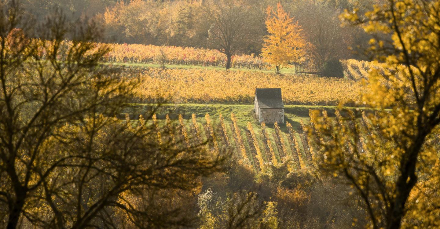 Loge de vigne©N. Van Ingen_propriété du Parc naturel régional utilisation interdite