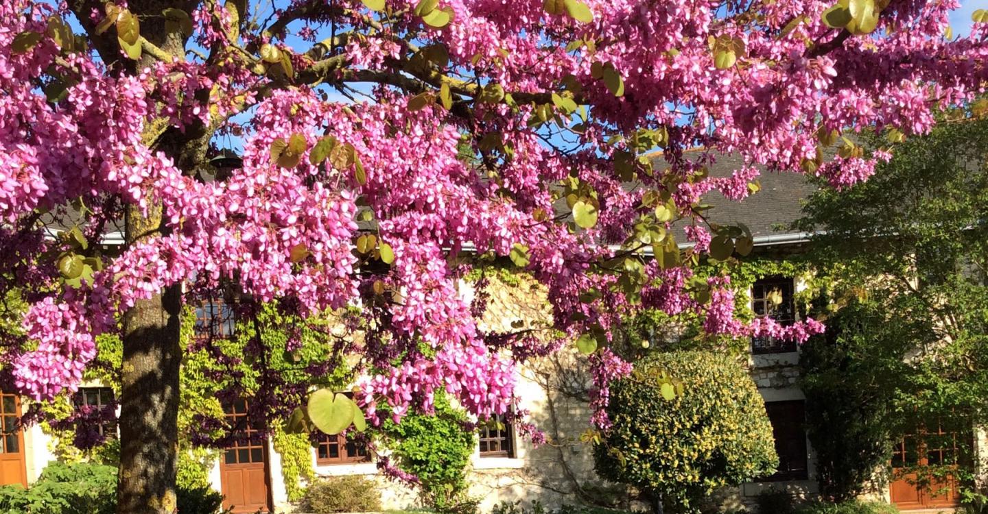Le Cottage Du Domaine De Beauvais Parc Naturel Regional Loire Anjou Touraine Le Cottage Du Domaine De Beauvais Parc Naturel Regional Loire Anjou Touraine