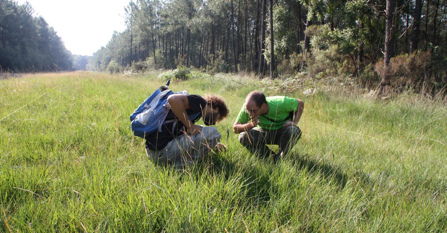 Inventaire biodiversité