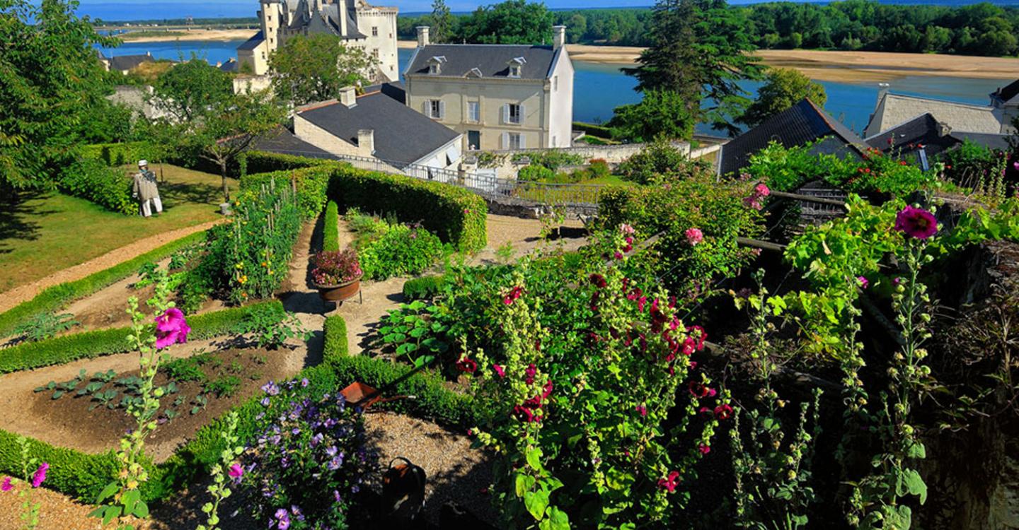 Montsoreau©Petiteau