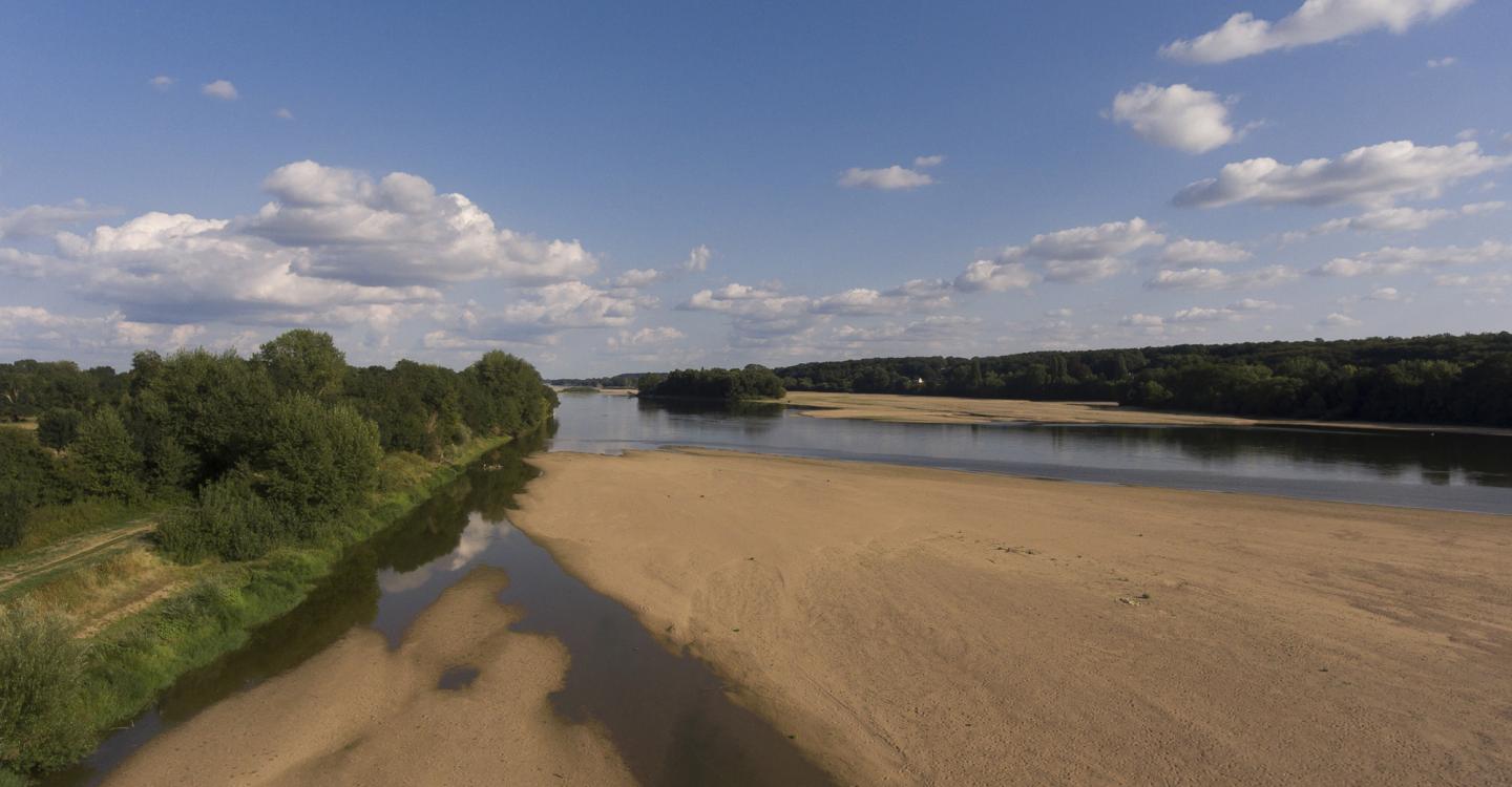 Loire angevine