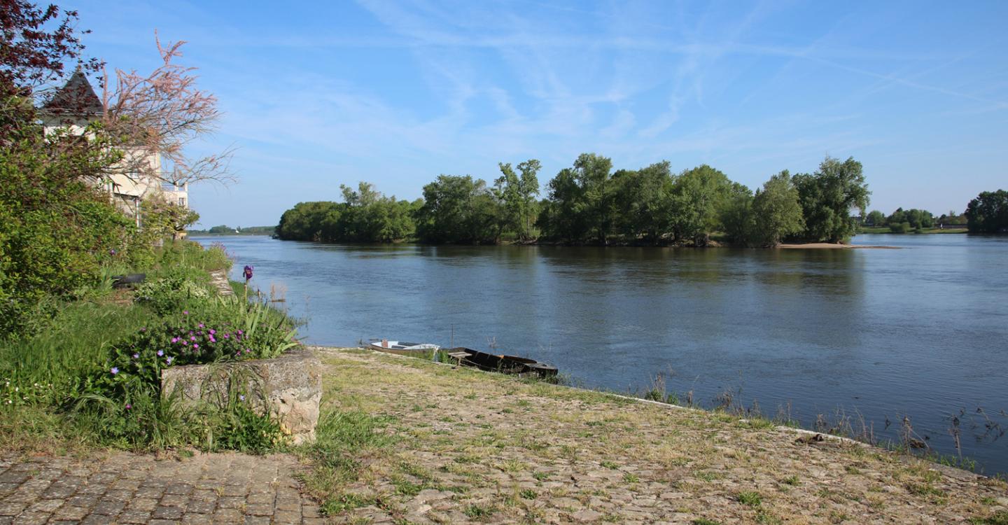 Bords de Loire à Chênehutte Trèves Cunault