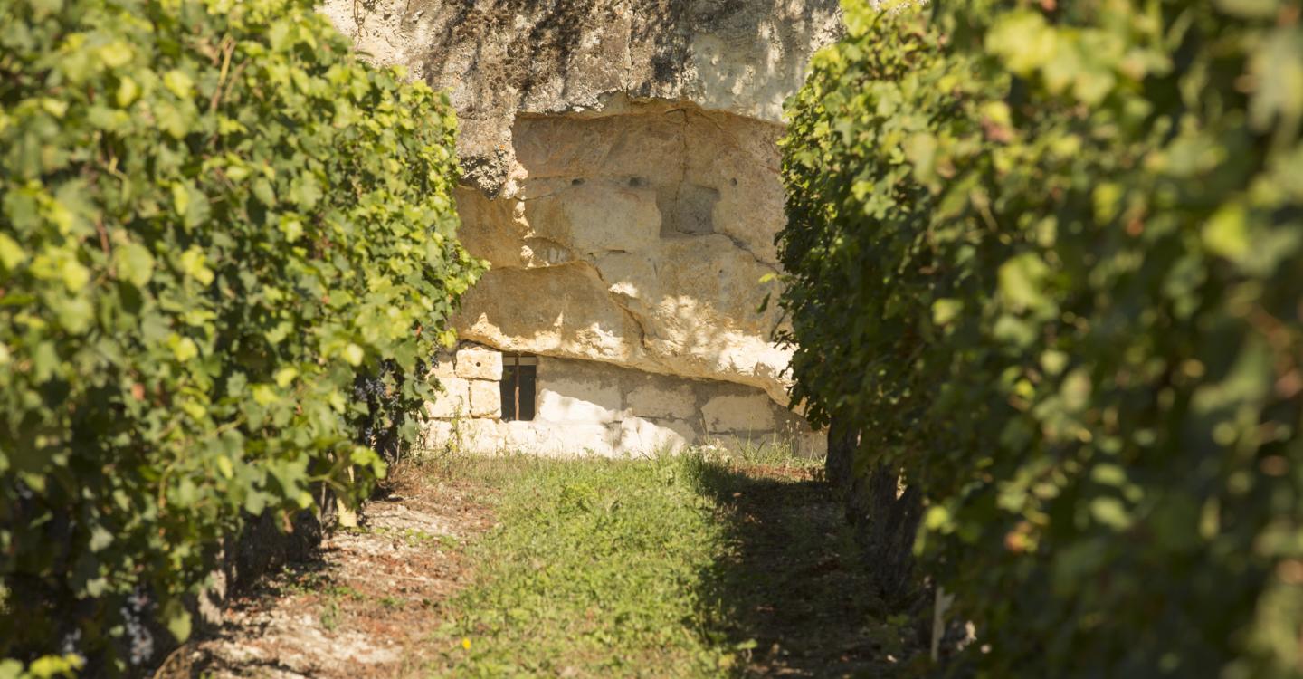 Troglo et vignes à Benais©N. Van Ingen_propriété du Parc naturel régional utilisation interdite