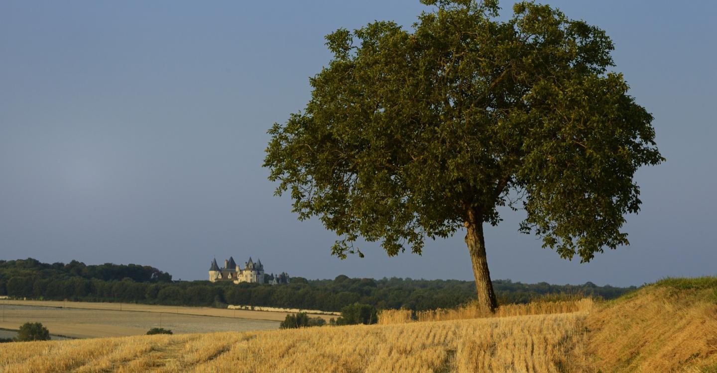 Coudray-Montpensier