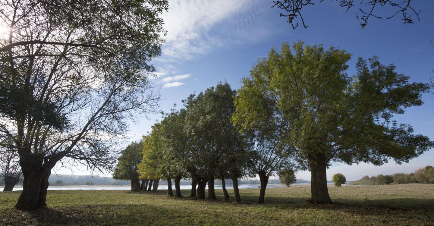 Bocage à Saint Mathurin sur Loire ©N. Van Ingen