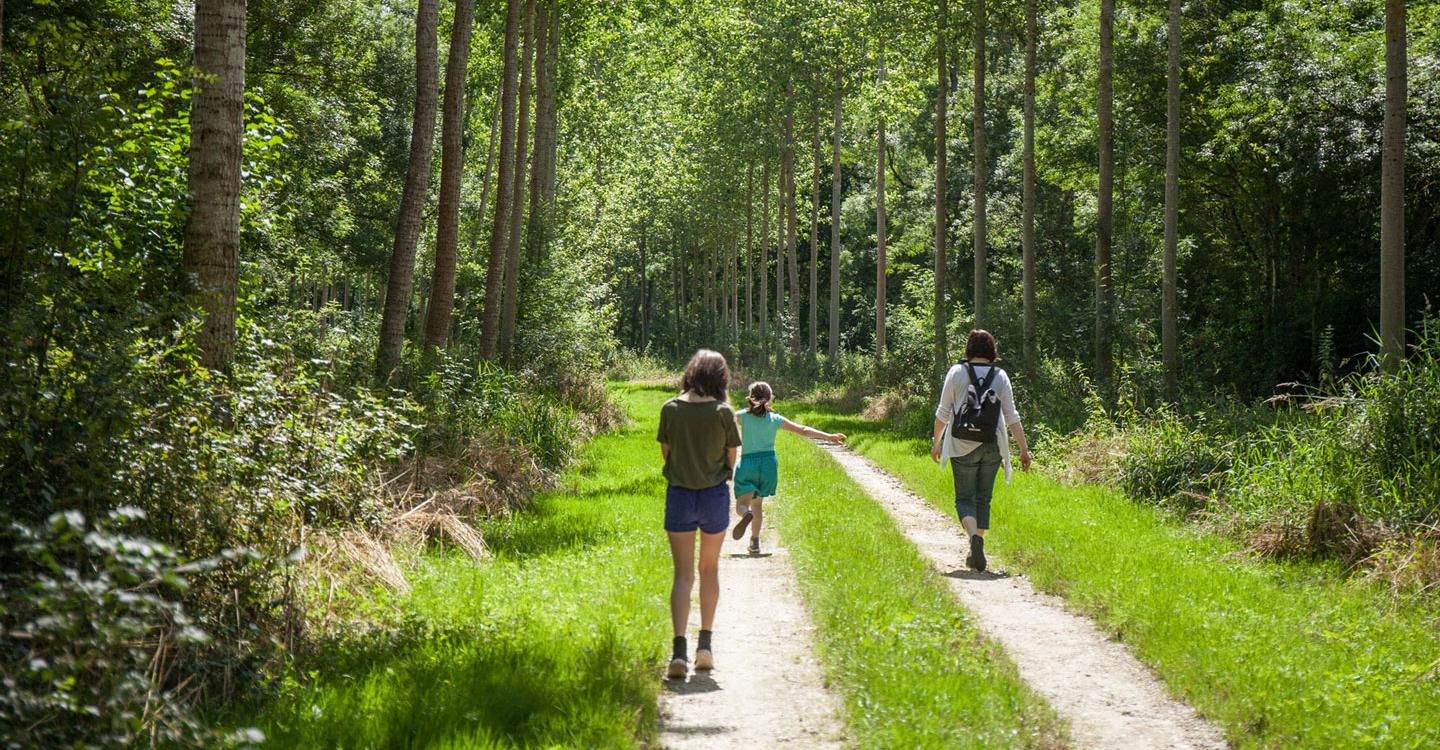 Bocage du Véron©Jérôme Paressant