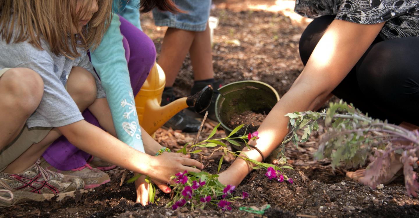 Jardin à l'école