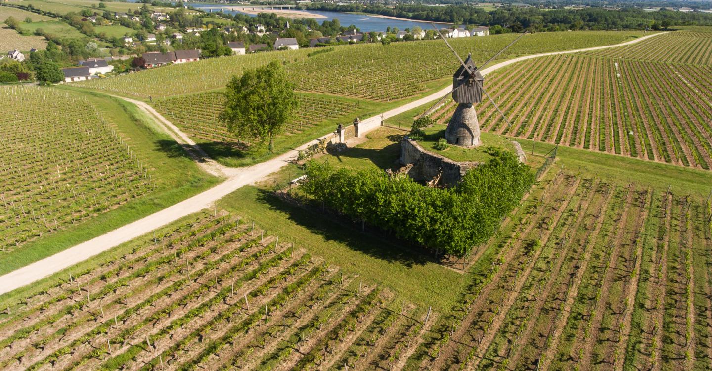 MONTSOREAU_moulin