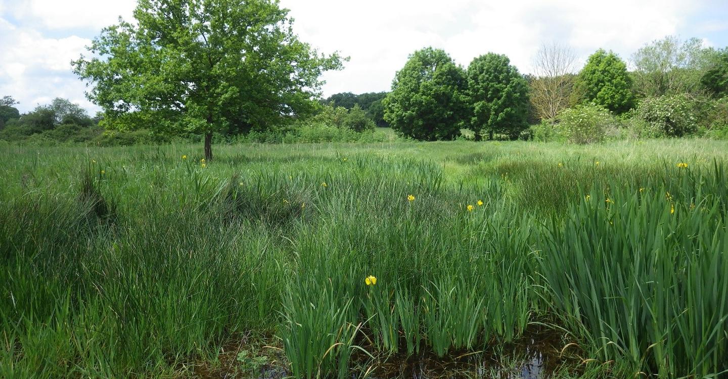 Vue aérienne du Marais de Taligny