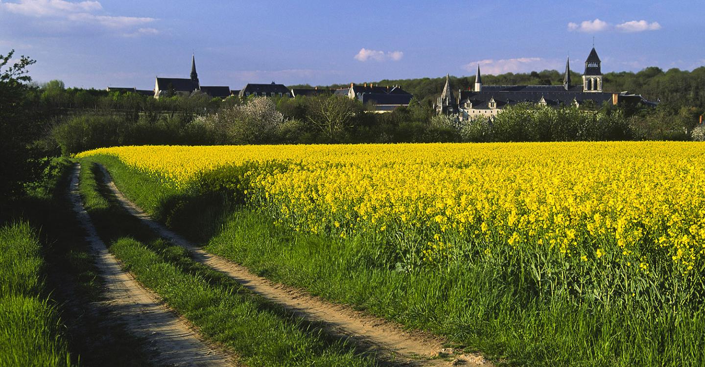 Fontevraud©P. Body.jpg