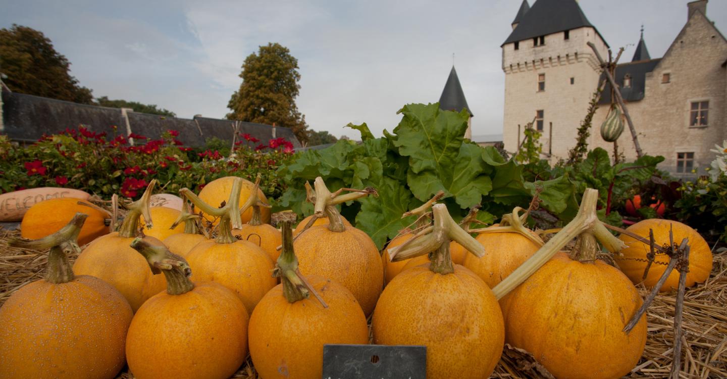 Fête de la citrouille©Rivau_utilisation_uniquement_Agenda_VPNR