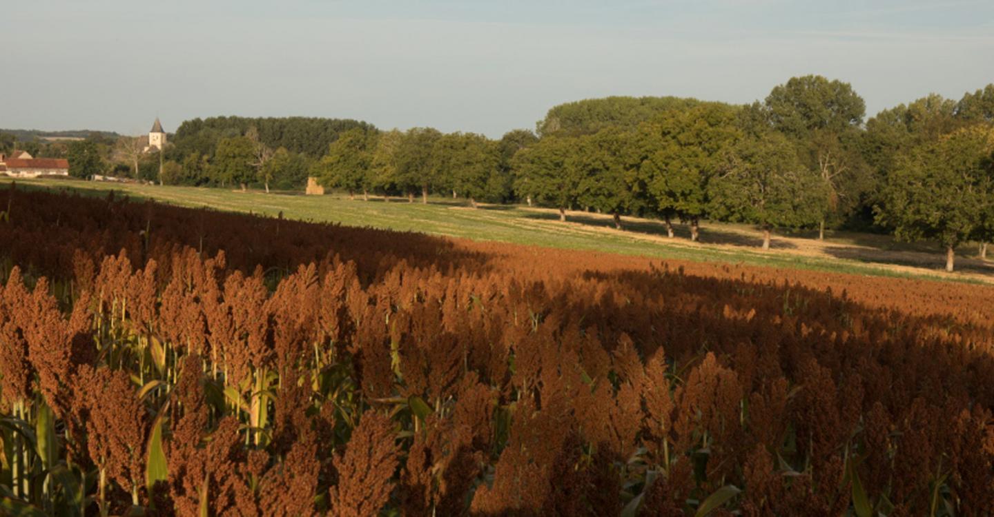 Saint epain©N. Van Ingen_propriété du Parc naturel régional utilisation interdite