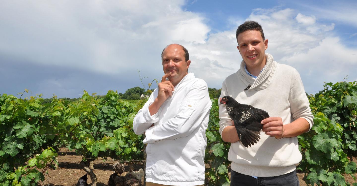 Des poules et des vignes- Prix innover à la campagne