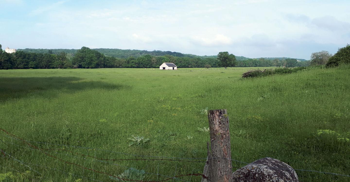 Ile de Loire parcelles.jpg