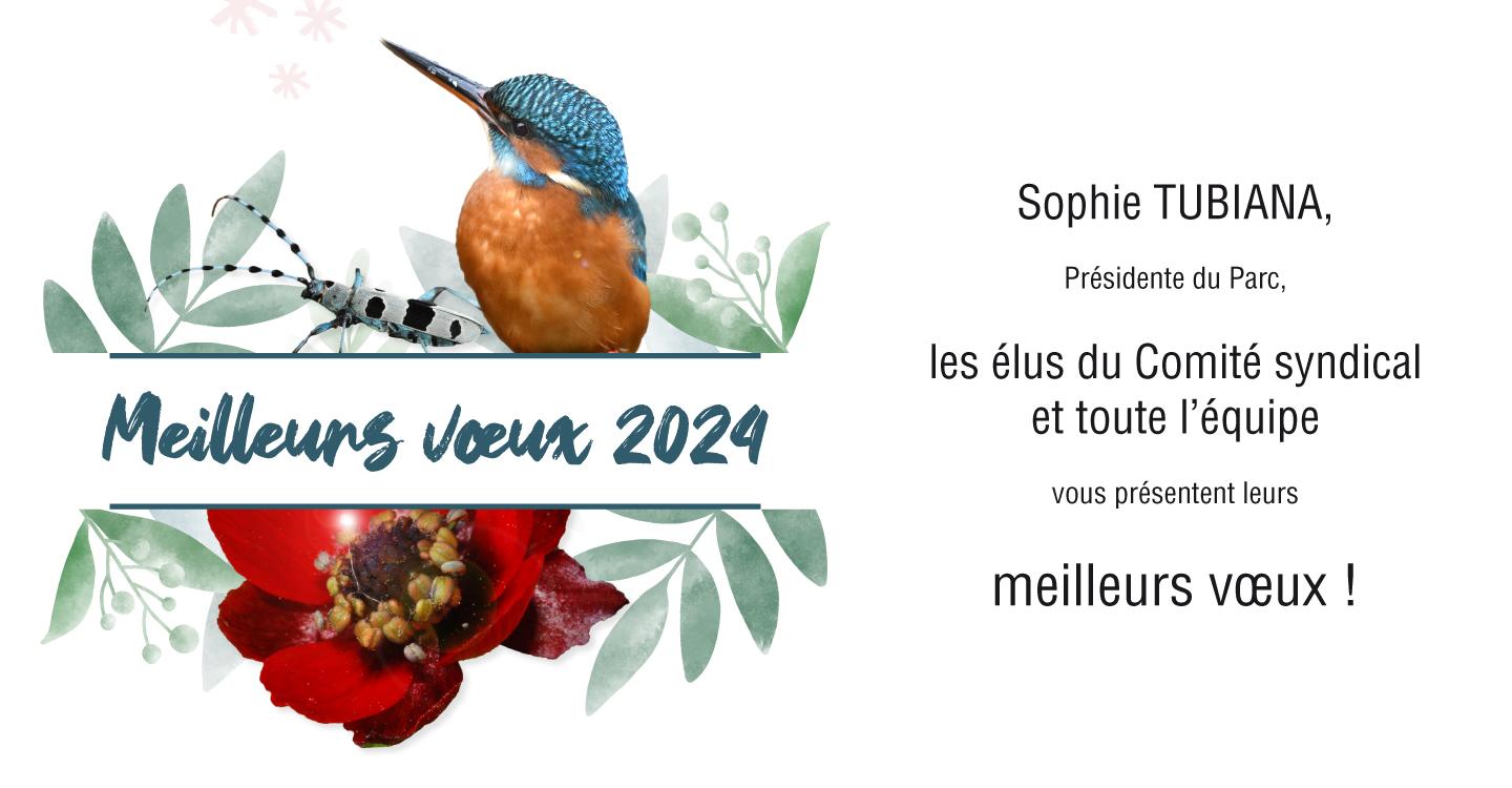 Calendrier 2024 - Oiseaux du Québec