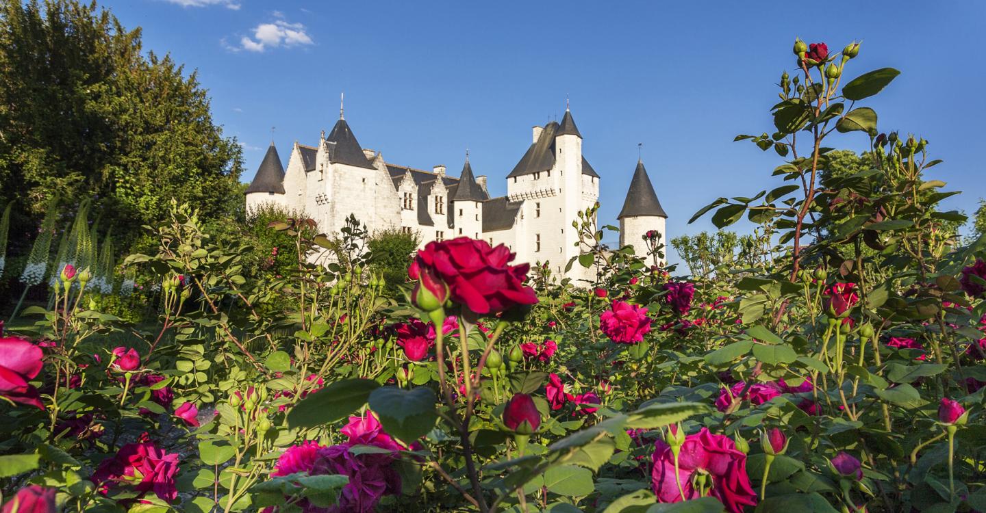 Fête des Roses