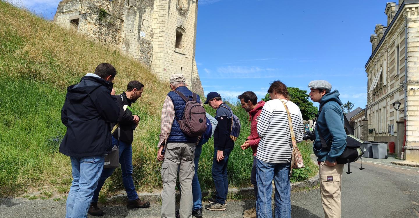 renaturation Beaufort en Anjou