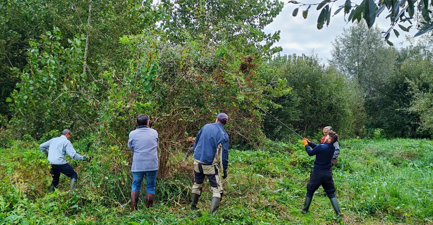 Chantier marais Taligny©CPIE37
