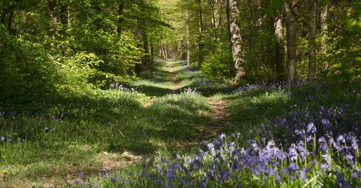 ©N. Van Ingen_propriété du Parc naturel régional utilisation interdite