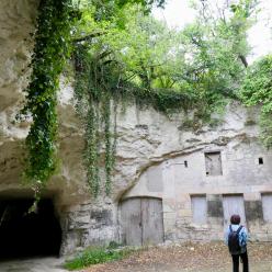 Cave aux fièvres