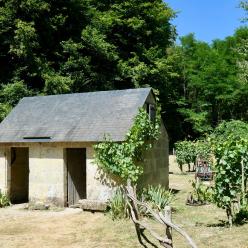 Loge de vigne