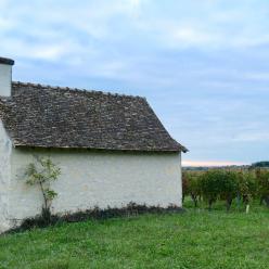 Loge de vigne