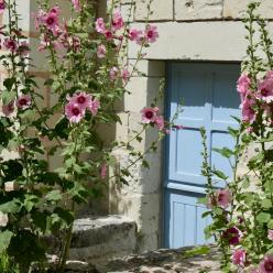 Ruelles de Montsoreau