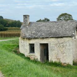 Loge de vigne