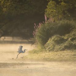 ©N. Van Ingen_propriété du Parc naturel régional utilisation interdite