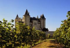 Chateau de Saumur ©Philippe Body