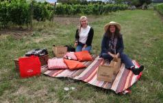 le bonpicnic