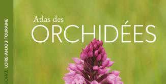 Atlas des orchidées