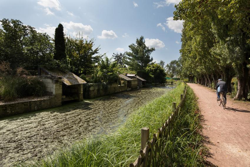 Lavoirs le long du Lathan à Longué-Jumelles©N. Van Ingen 