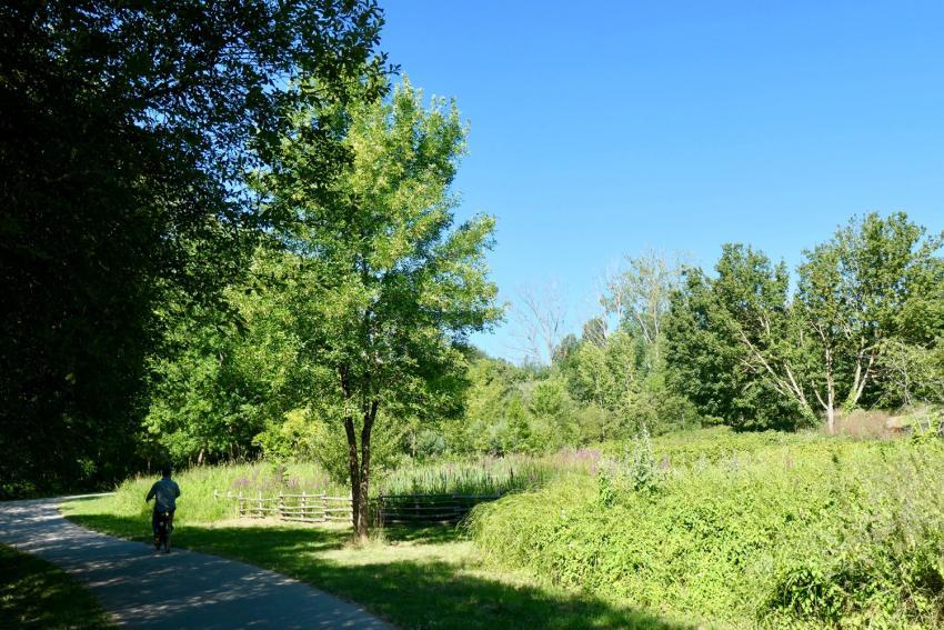 Loire à vélo