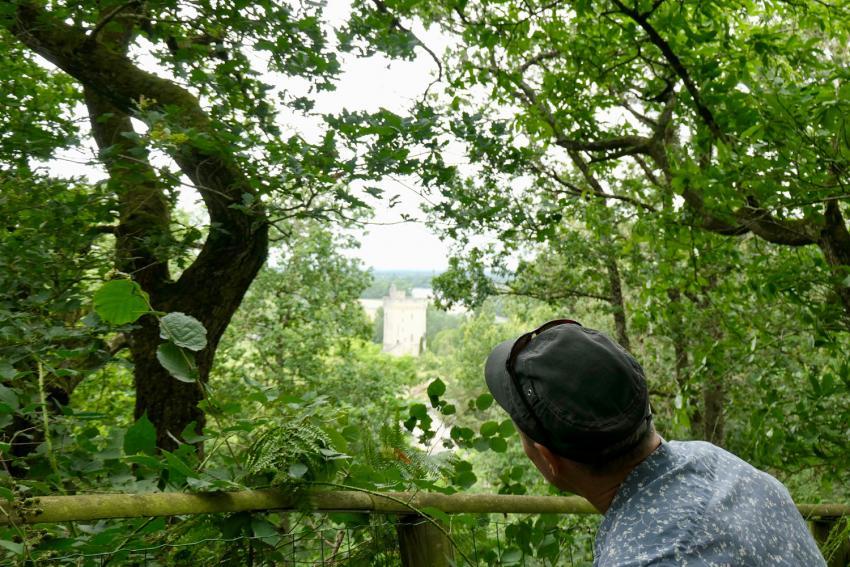 Vue sur la Tour de Trèves